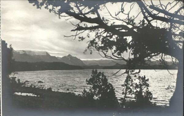 Nahuel Huapi Orilla del lago