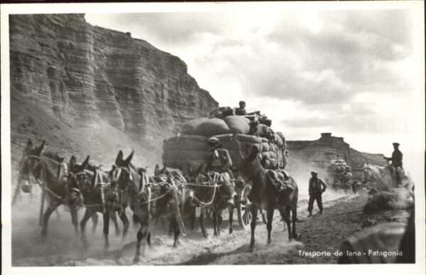 Patagonia Patagonien Trasporte de lana burro
