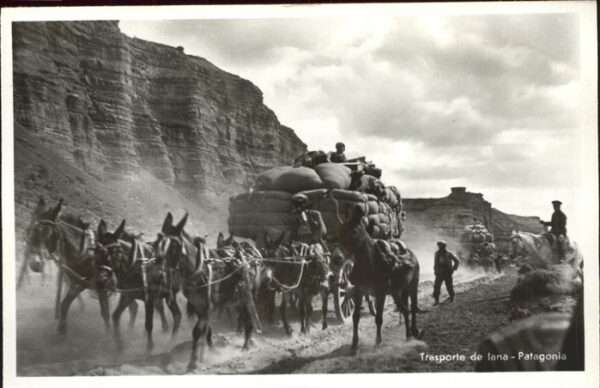 Patagonia Patagonien Trasporte de lana burro