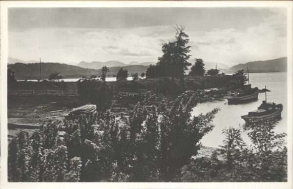 Puerto Tigre Nahuel Huapi Vista panoramica orilla del lago barco