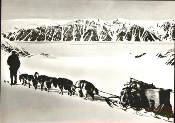 Pearyland Groenland Nordpol Expedition Hundeschlitten