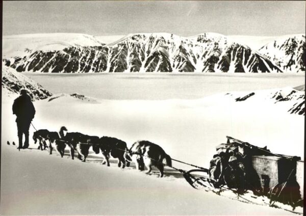 Pearyland Groenland Nordpol Expedition Hundeschlitten