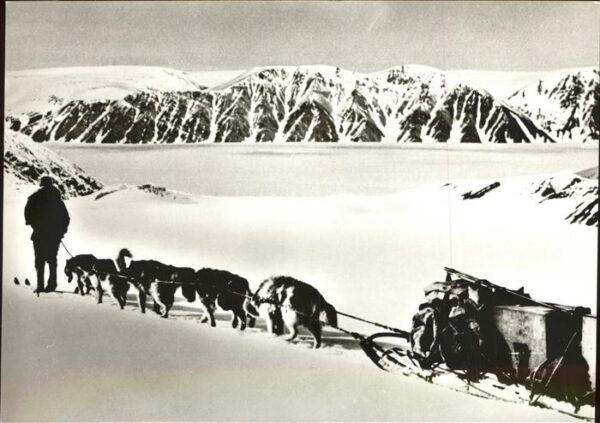 Pearyland Groenland Nordpol Expedition Hundeschlitten