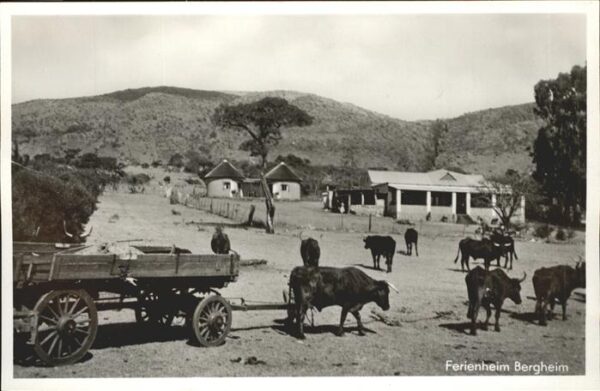 Transvaal Suedafrika Ferienheim Bergheim Ochsenkarren