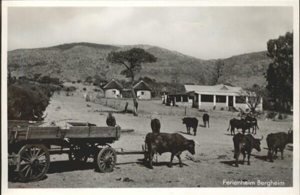 Transvaal Suedafrika Ferienheim Bergheim Ochsenkarren