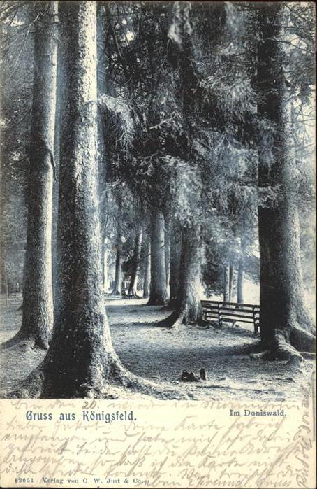 Baeume Trees Königsfeld Doniswald
