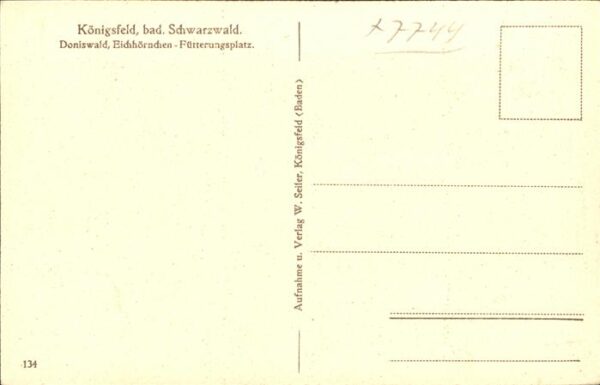 Baeume Trees Doniswald Eichhörnchen Fütterungsplatz – Bild 2