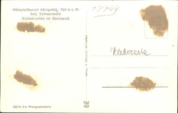 Tiere Eichh?rnchen Doniswald – Bild 2