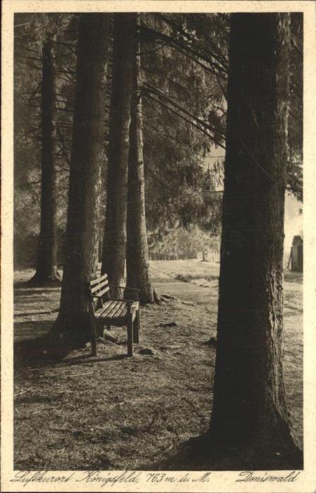 Baeume Trees Königsfeld Doniswald