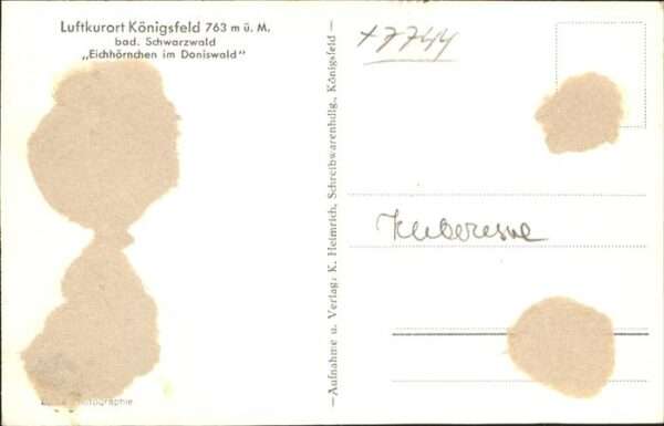 Tiere Eichh?rnchen Kind Doniswald K?nigsfeld – Bild 2