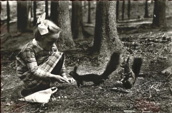 Tiere Eichh?rnchen Kind F?tterung Doniswald