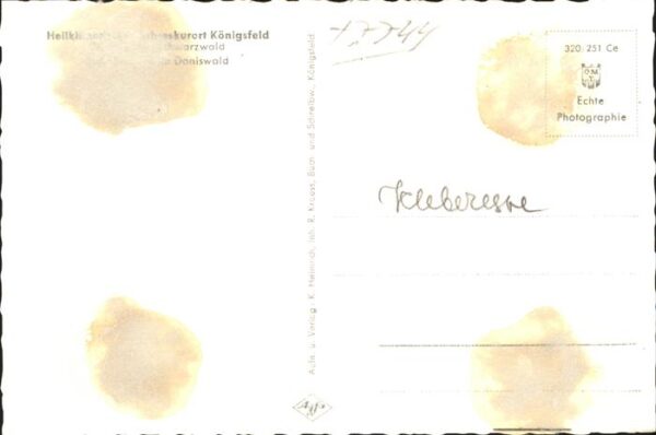 Tiere Eichh?rnchen Kind Doniswald – Bild 2