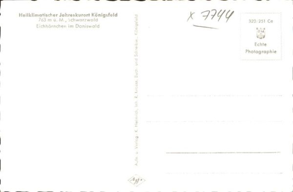 Tiere Eichh?rnchen Kind Doniswald – Bild 2