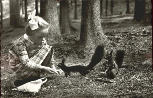 Tiere Kind Eichh?rnchen K?nigsfeld
