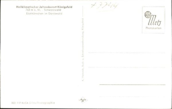 Tiere Kind Eichh?rnchen Doniswald K?nigsfeld – Bild 2