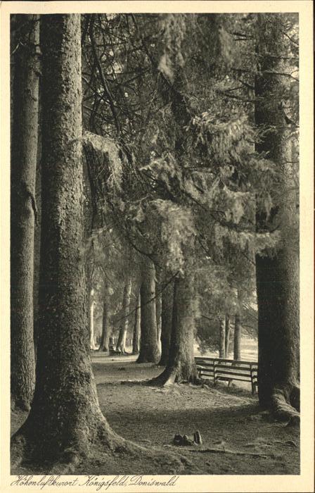 Baeume Trees Königsfeld Doniswald