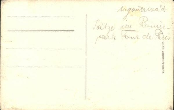 Katzen Getigerte Katze Argauerwald – Bild 2
