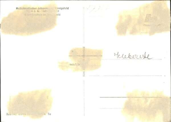 Eichhoernchen Kind Fütterung Königsfeld – Bild 2
