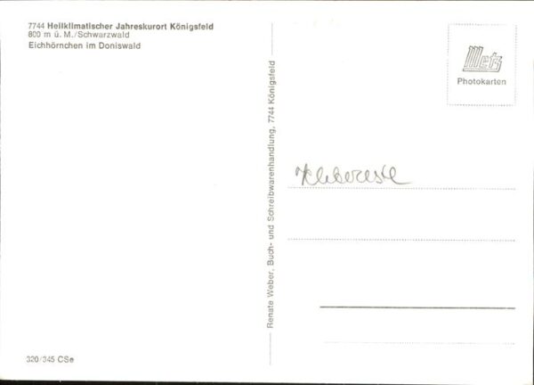 Eichhoernchen Kind Fütterung Königsfeld Doniswald – Bild 2