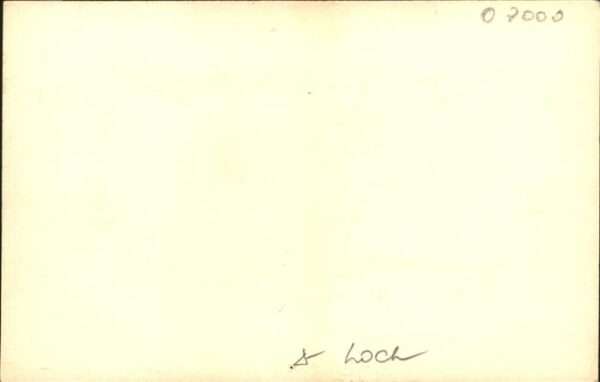 Hunde Asso Pommerania Leipzig – Bild 2