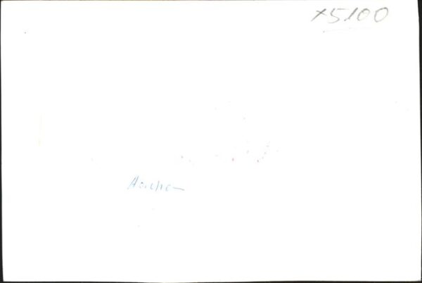 Veere Rathaus Kinder – Bild 2