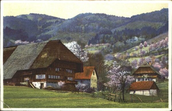 Verlag Photochromie Nr. 5175 Feldkirch Österreich Haus