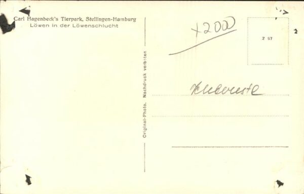 Loewe Carl Hagenbeck Stellingen-Hamburg Schlu – Bild 2