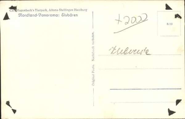 Eisbaer Carl Hagenbeck Tierpark – Bild 2