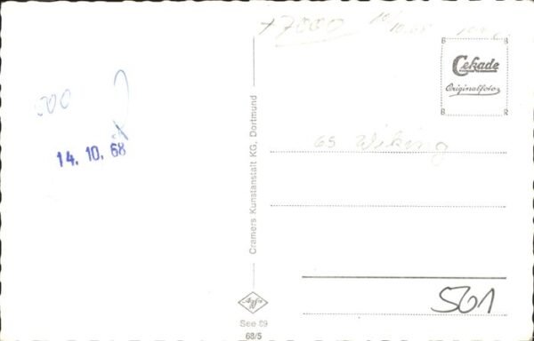Voegel Möwen – Bild 2