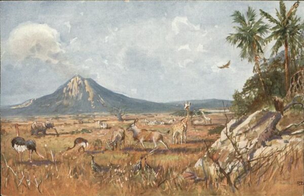 Giraffe Gurui-Berg Wildsteppe Elefant Strauss K