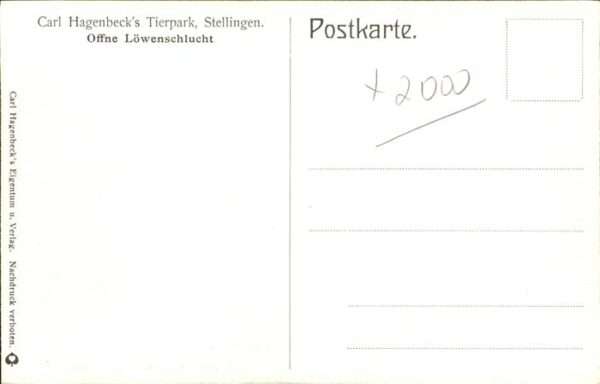 Loewe Carl Hagenbeck Tierpark Stellingen – Bild 2