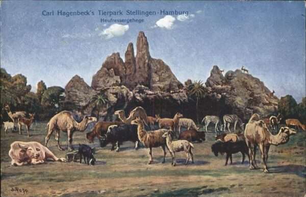 Hagenbeck Tierpark Stellingen-Hamburg Kamele Zebr