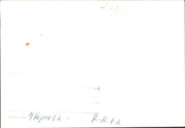 Eichhoernchen – Bild 2