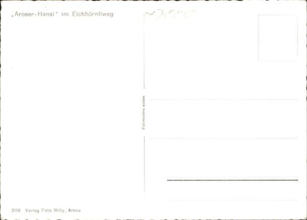 Eichhoernchen Aroser-Hansi Eichhörnliweg Arosa – Bild 2