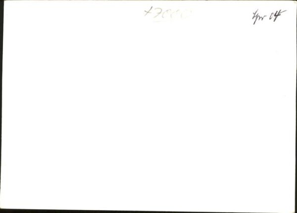 Hirsch Rehe – Bild 2