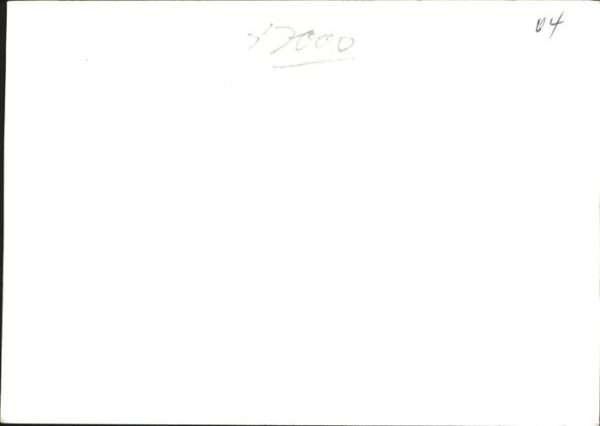 Reh Hirsch – Bild 2