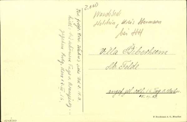 Landwirtschaft Kamerun Viktoria Wandsbeck – Bild 2