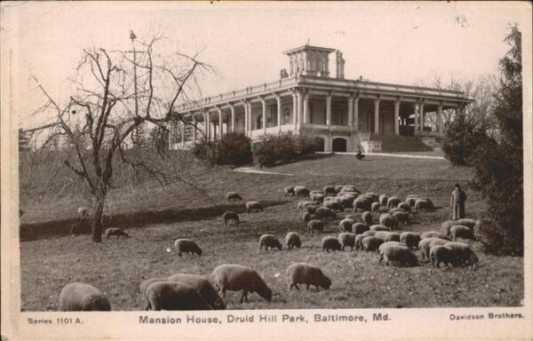 Baltimore Maryland Mansion House Druid Hill Park sheep