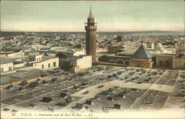 Tunis Panorama pris de Dar-El-Bey