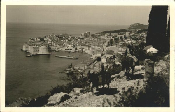 Dubrovnik Ragusa Croatia Hafen Esel