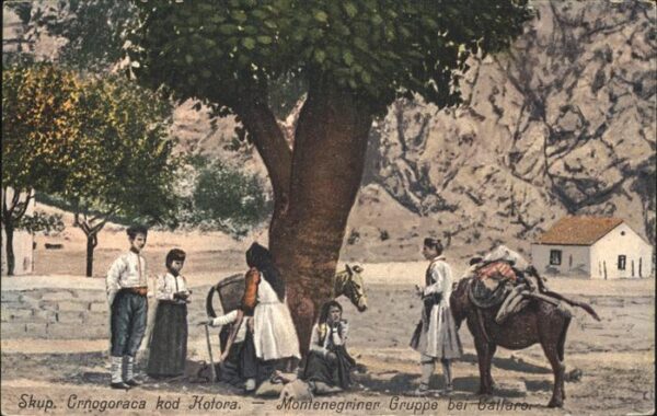 Cattaro Kotor Montenegriner Gruppe Pferd
