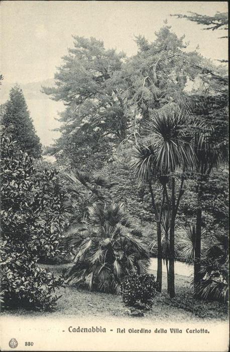 Cadenabbia Lago di Como Nel Giardino della Villa Carlotta