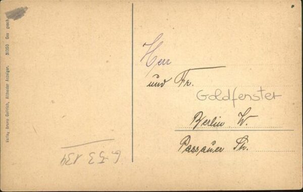Bad Altheide Haus Waldschlösschen Goldfenster – Bild 2