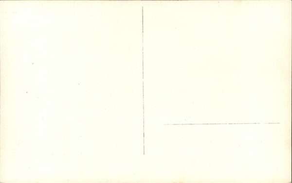 Bueffel Kutsche Kühe – Bild 2