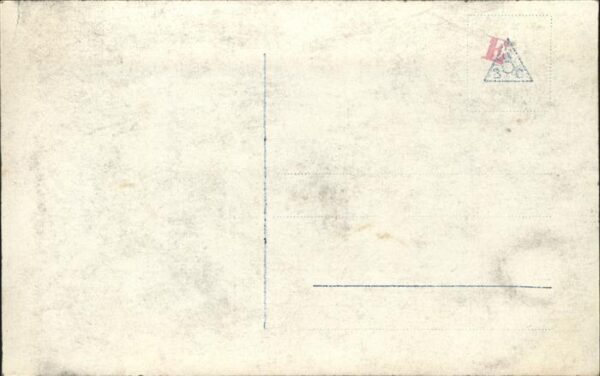 Tauben Frau Poesie – Bild 2