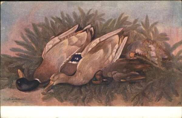Kuenstlerkarte Enten Jagd