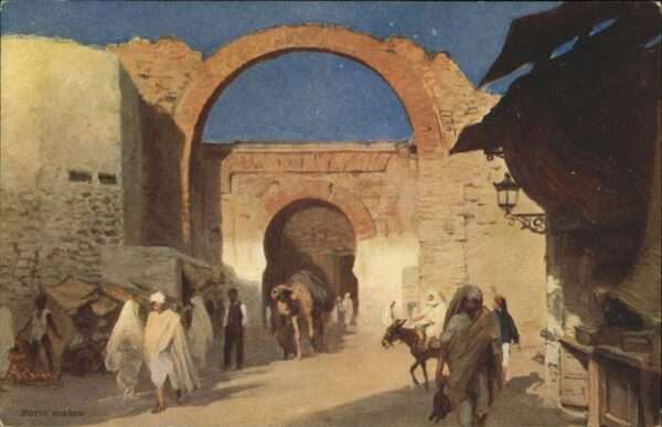 Kamel  Camel Chameau Porte maure