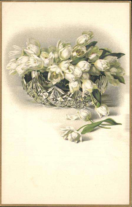 Blumen Tulpen Vase