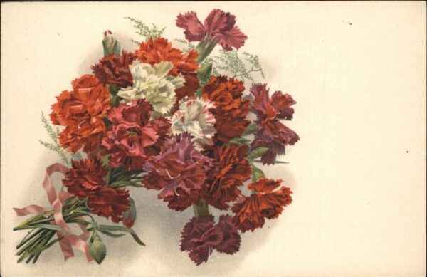 Blumen Nelkenstrauss