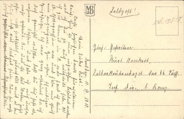 Blumen Nelkenstrauss – Bild 2